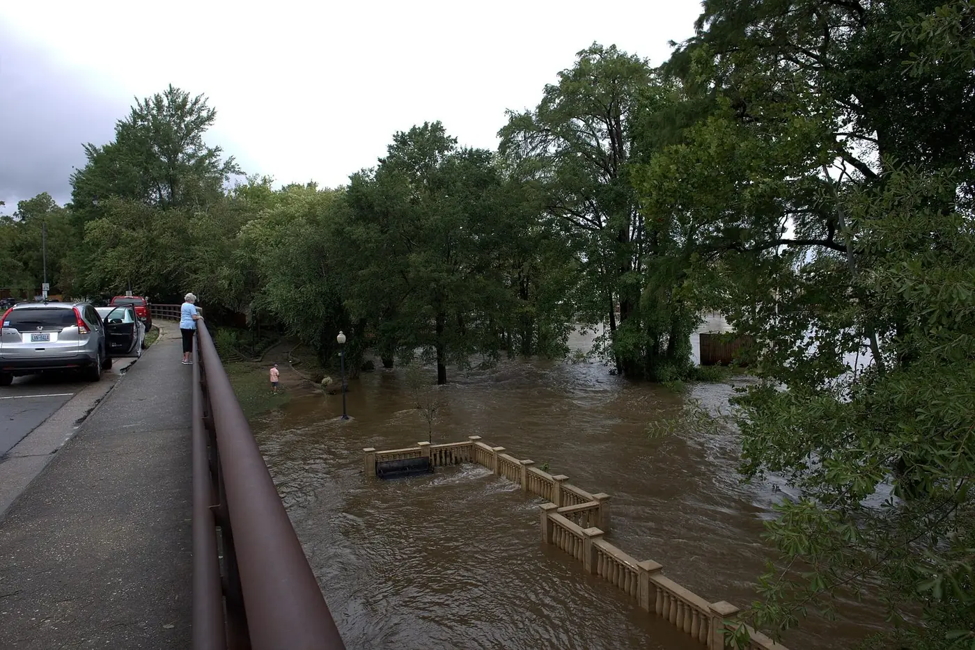 Brown floodwater filling the Cape Fear River up to the trees beside a road bridge